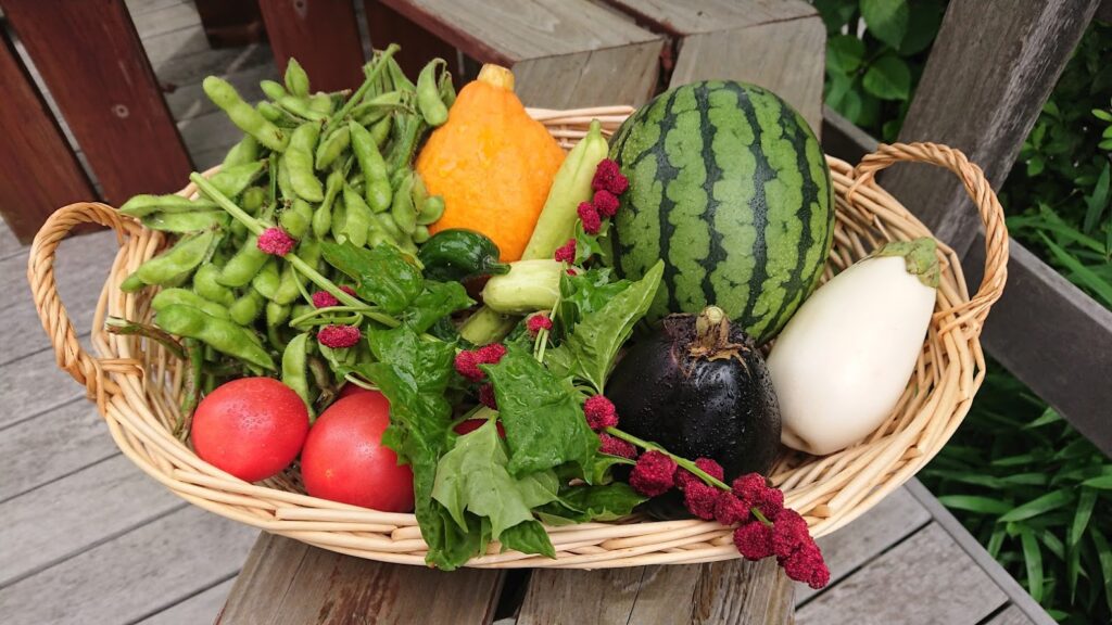 The beauty of summer vegetables like a treasure chest